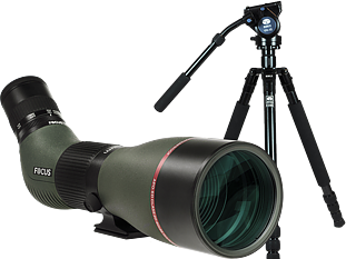 Focus Optimum APO ED 20-60x85 + Stativ