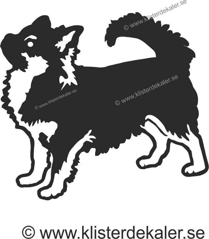 Picture decoration. Chihuahua detail