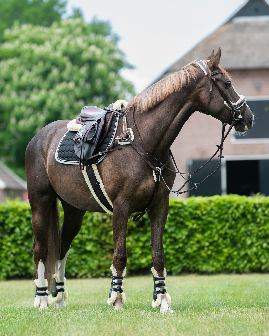 QHP Ontario Breastplate - Brown - Elastic