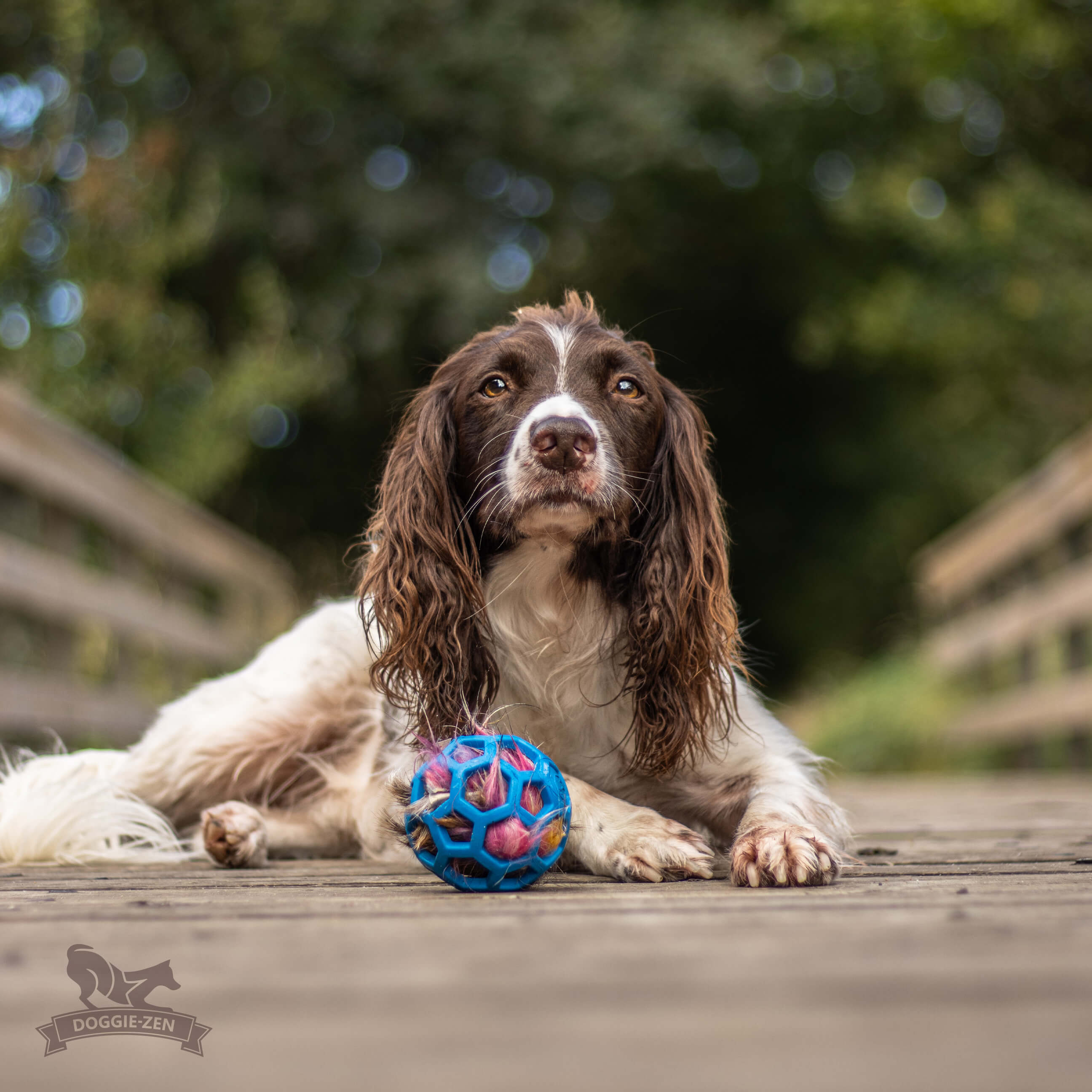 Deer Squeaker to Hol-ee Toys - 7