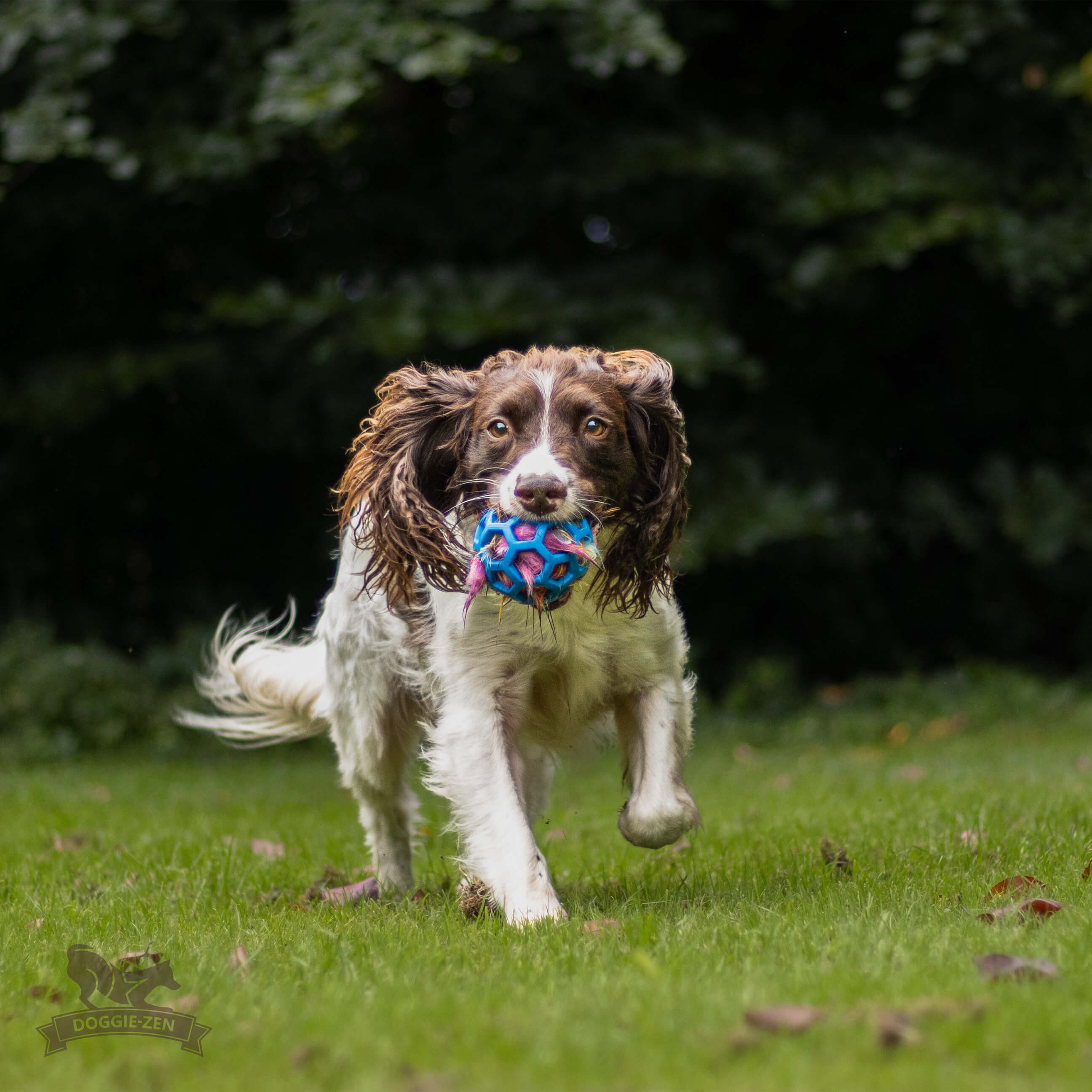 Deer Squeaker to Hol-ee Toys - 4