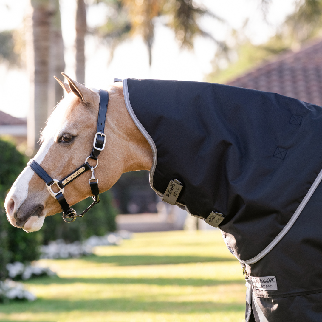 AMIGO BRAVO 12 PLUS 0gr V-FRONT PONY  - 4
