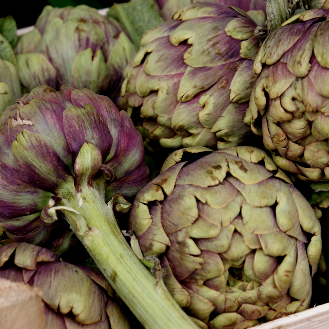 Kronärtskocka - Violet de Provence