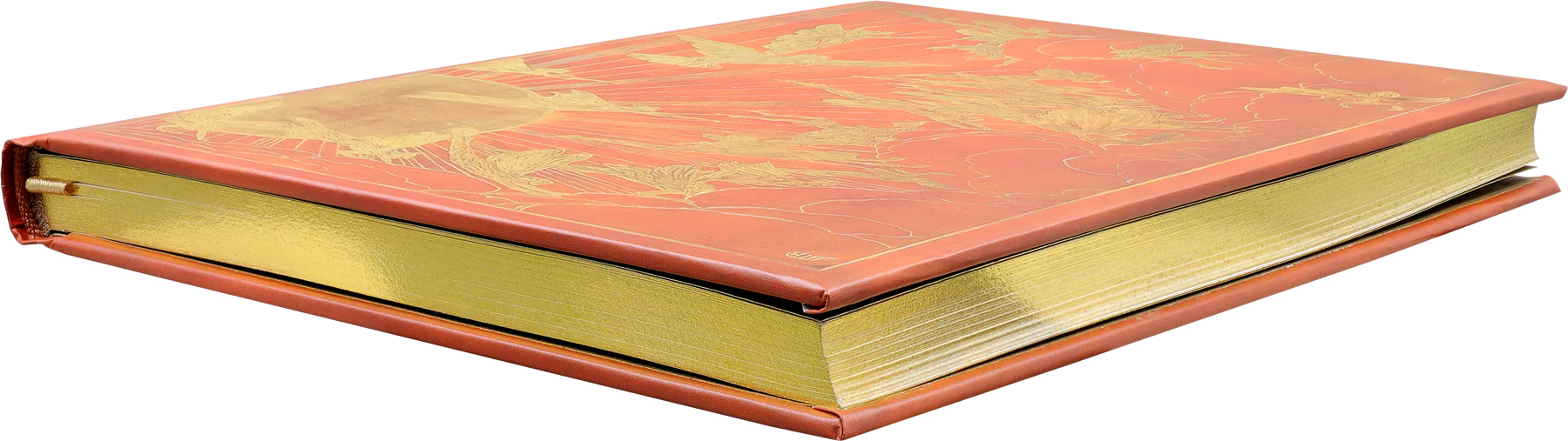 Orange Fairy Journal - 2