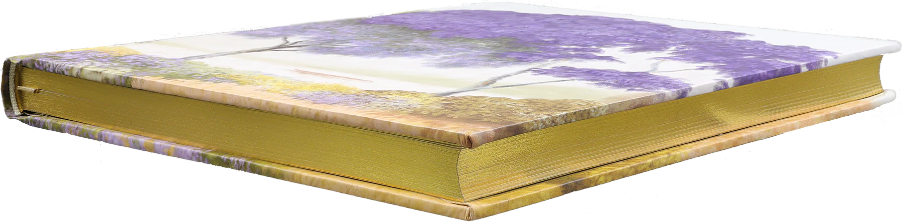 Midsummer Day Journal - 3