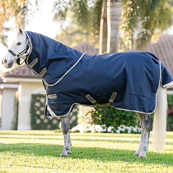 AMIGO BRAVO 12 PLUS 250gr V-FRONT PONY