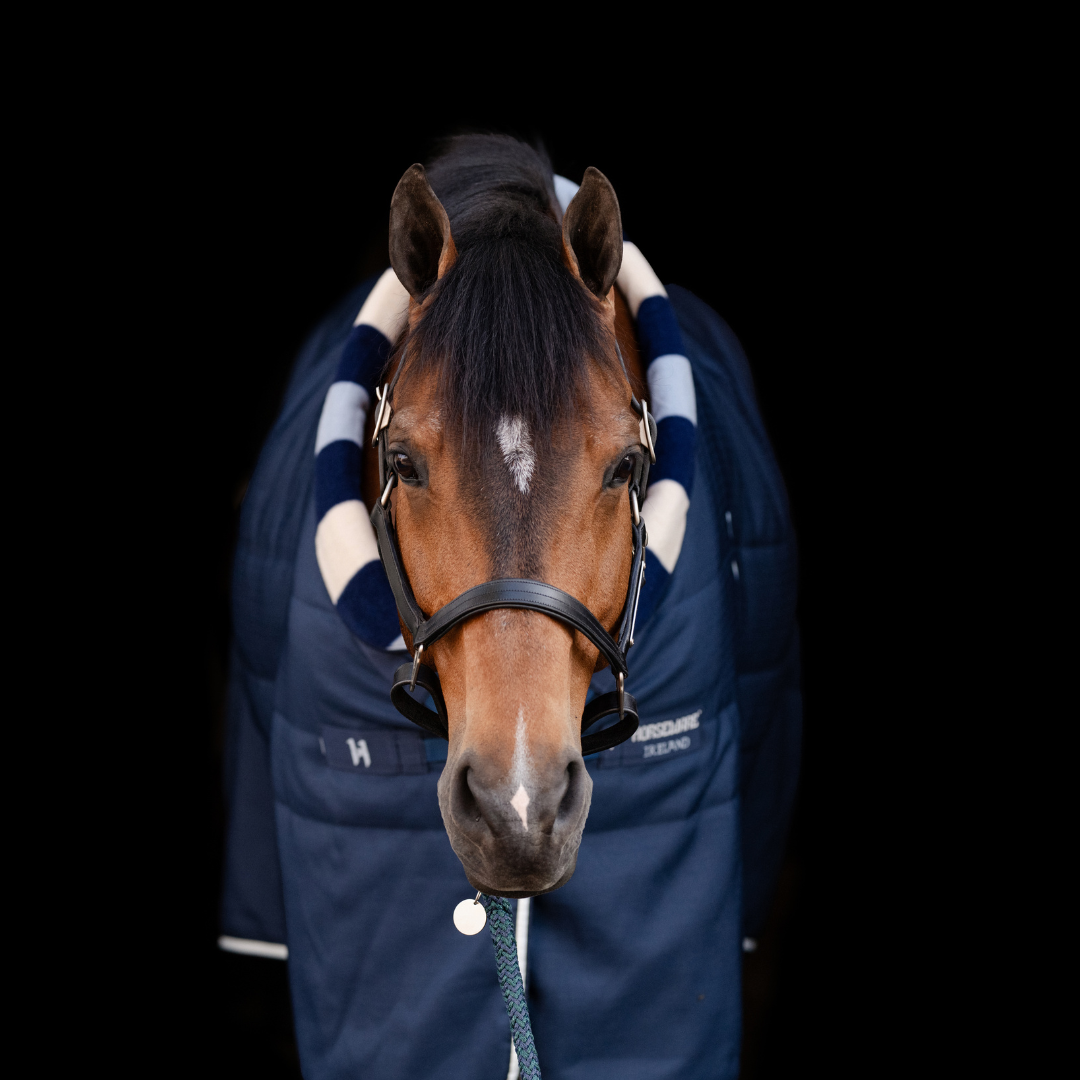 HORSEWARE NEWMARKET COSY STABLE 100GR  - 5