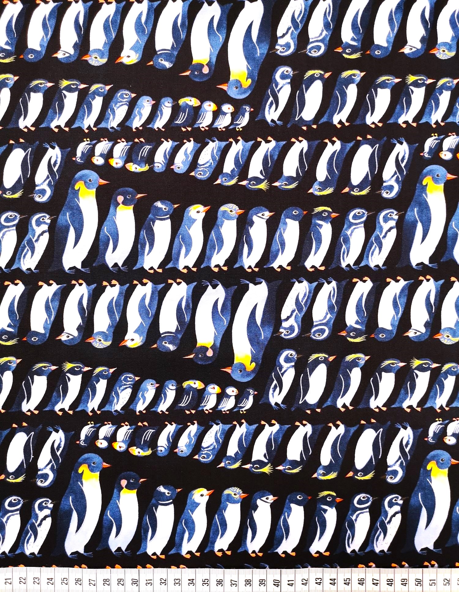 Penguins and Puffins