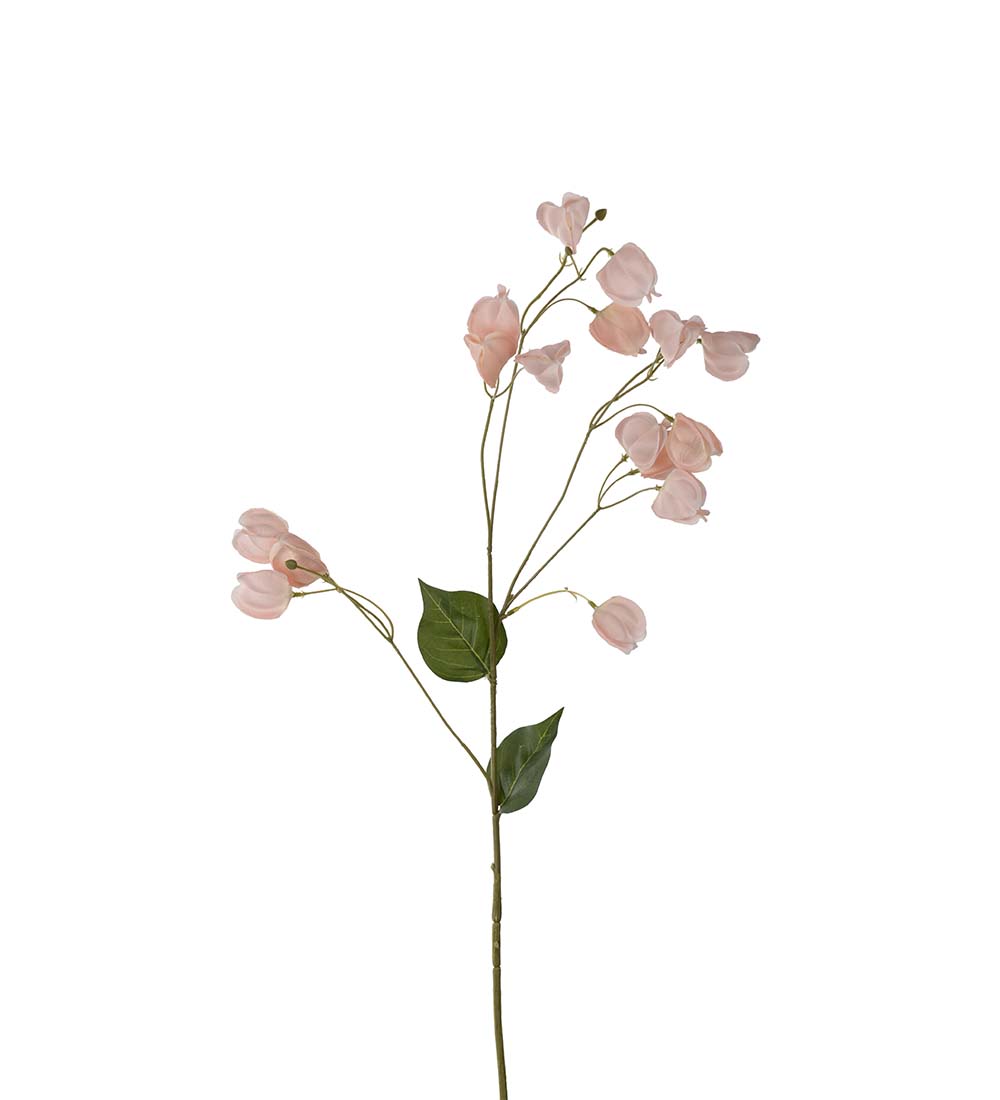 Physalis - Twig - 85 cm - Peach - 3