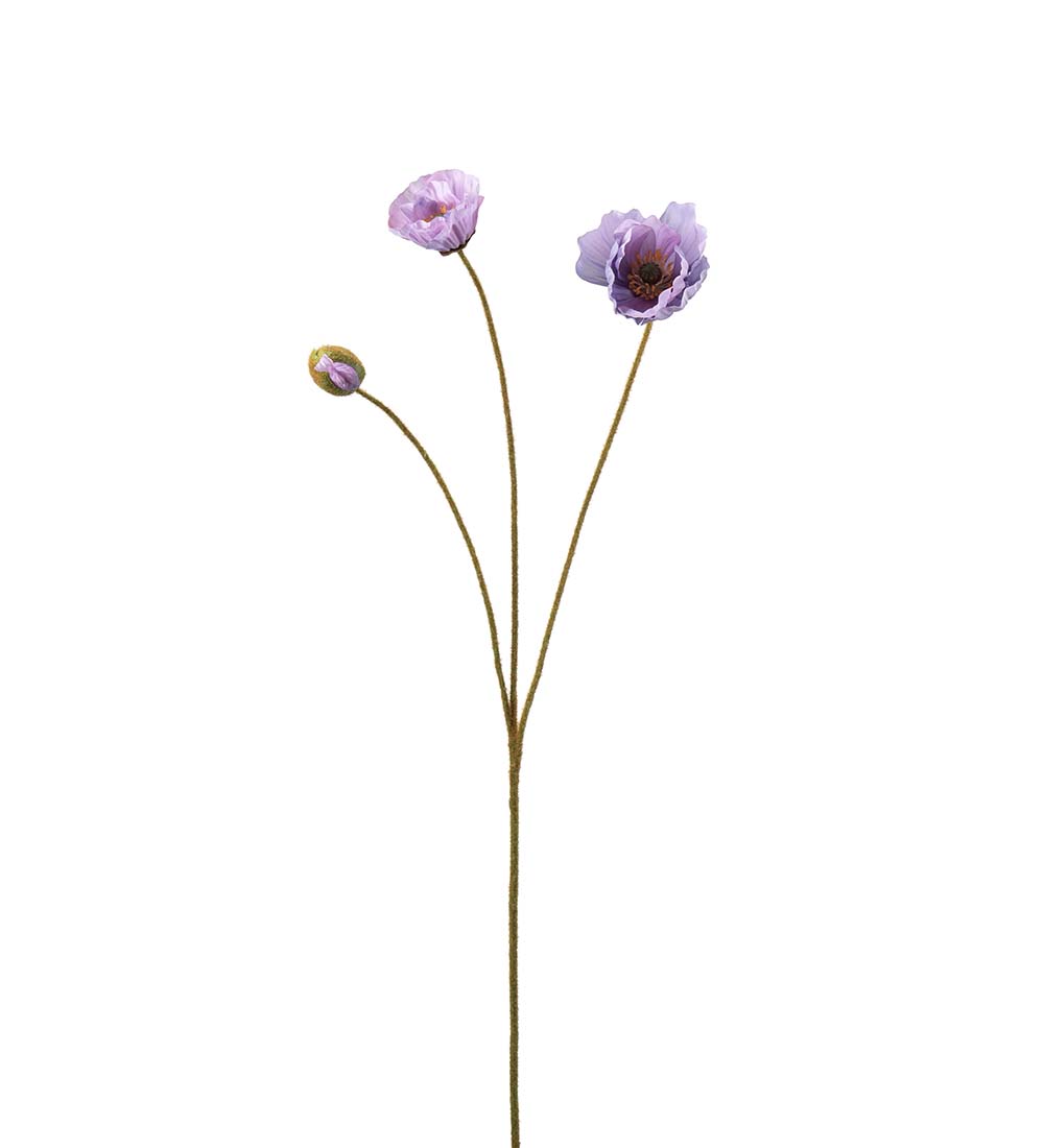Vallmo - Kvist - 75 cm - Lila - 3