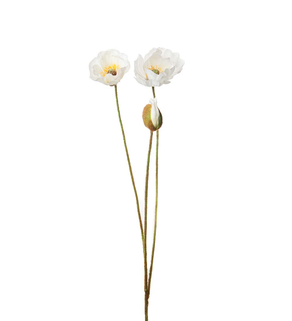 Vallmo - Kvist - 75 cm - Vit - 3