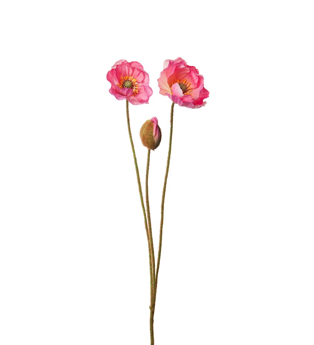 Poppy - Branch - 75 cm - Dark Pink - 4