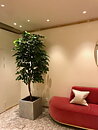 Privata hem