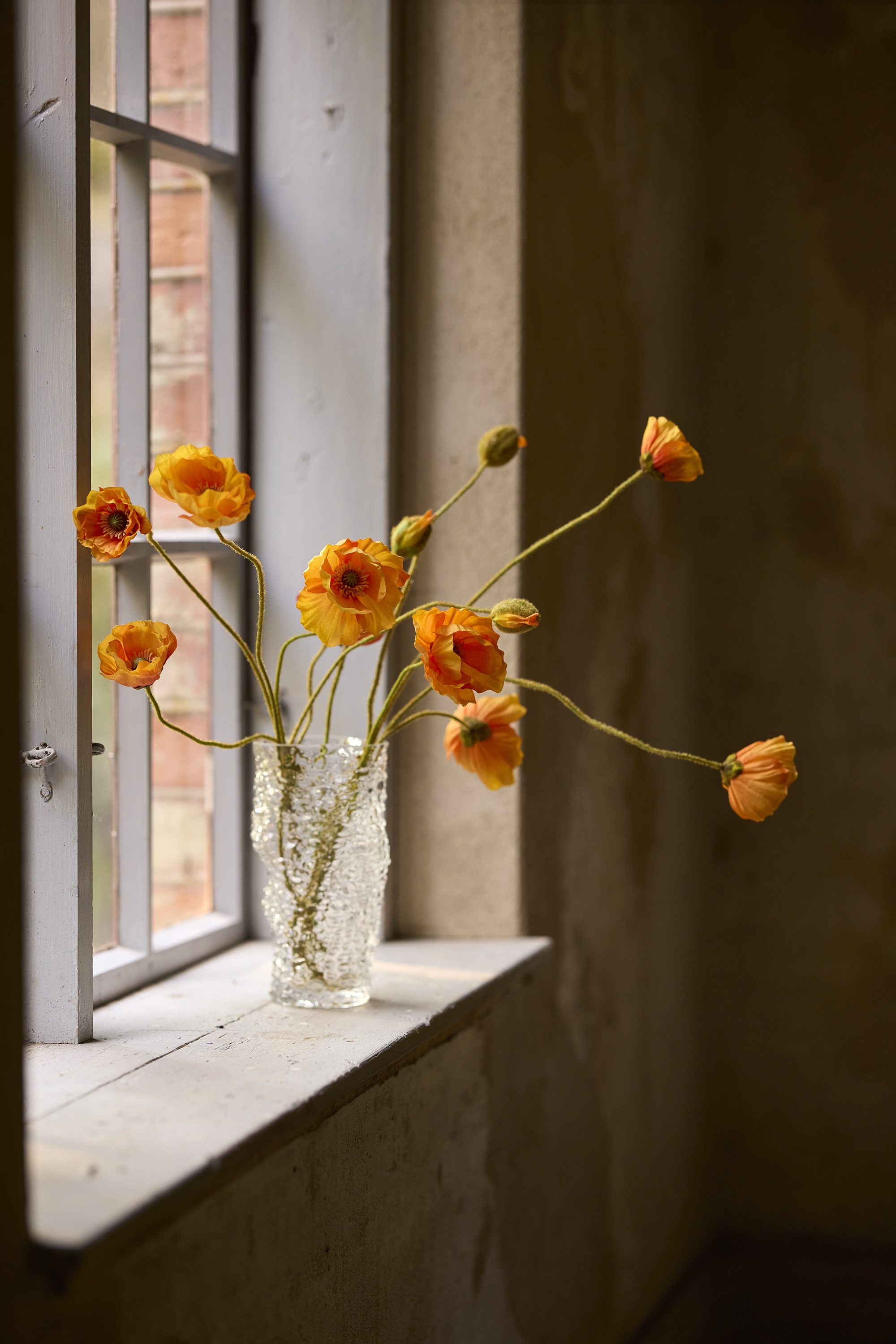 Vallmo - Kvist - 75 cm - Orange