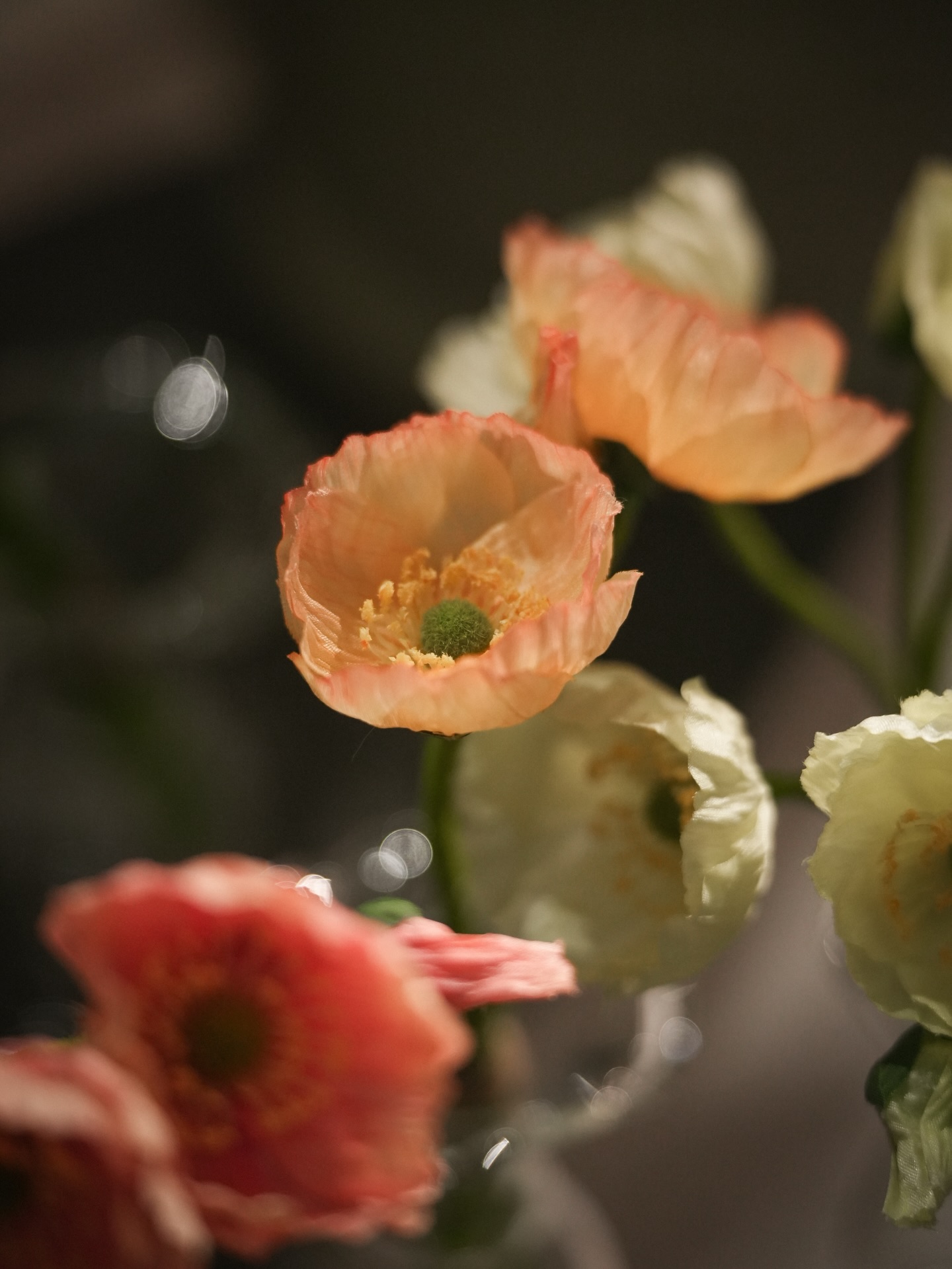 Poppy - Branch - 75 cm - Orange - 2