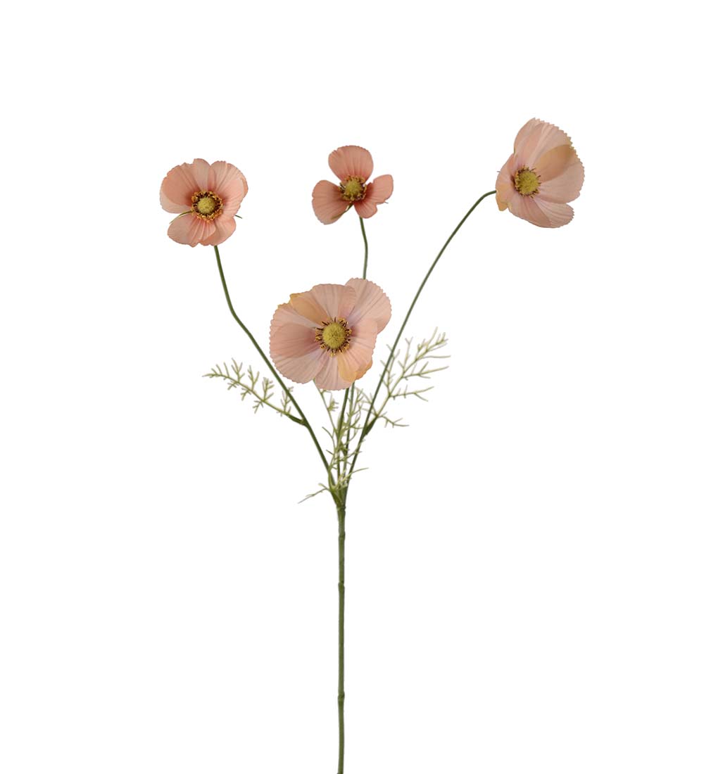 Rosenskära - 60 cm - Aprikos - 4