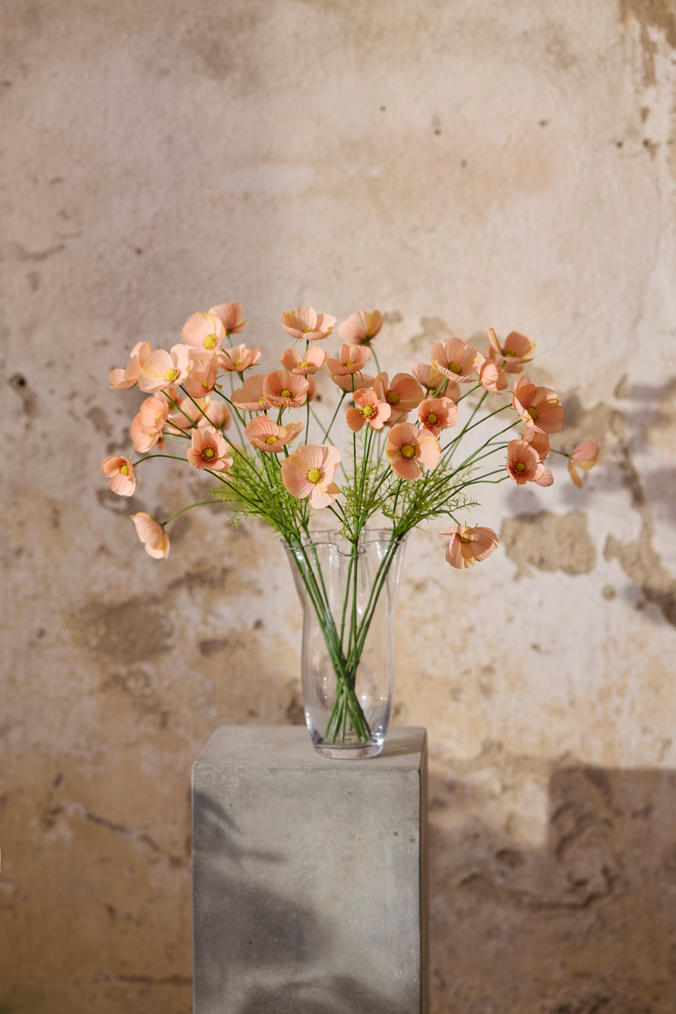 Rose branch - 100 cm - Apricot - 2