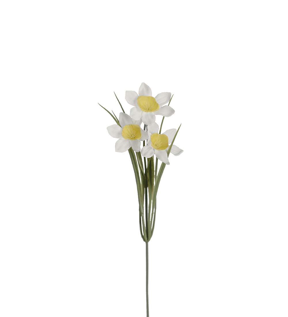 Narciss - Vit - 27 cm - 3