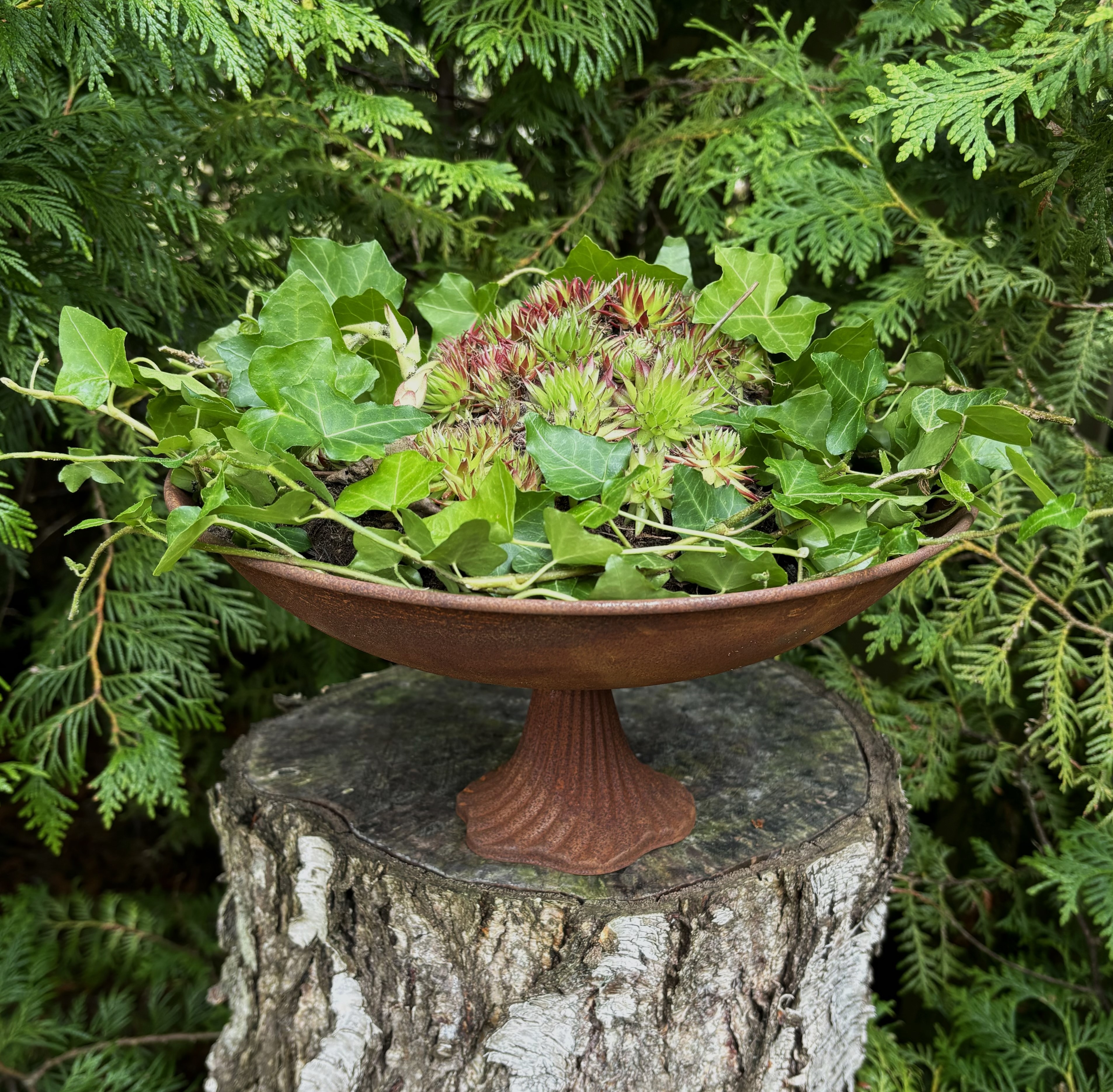 Platter - Bowl on foot - Rust - 29x15 cm - 2
