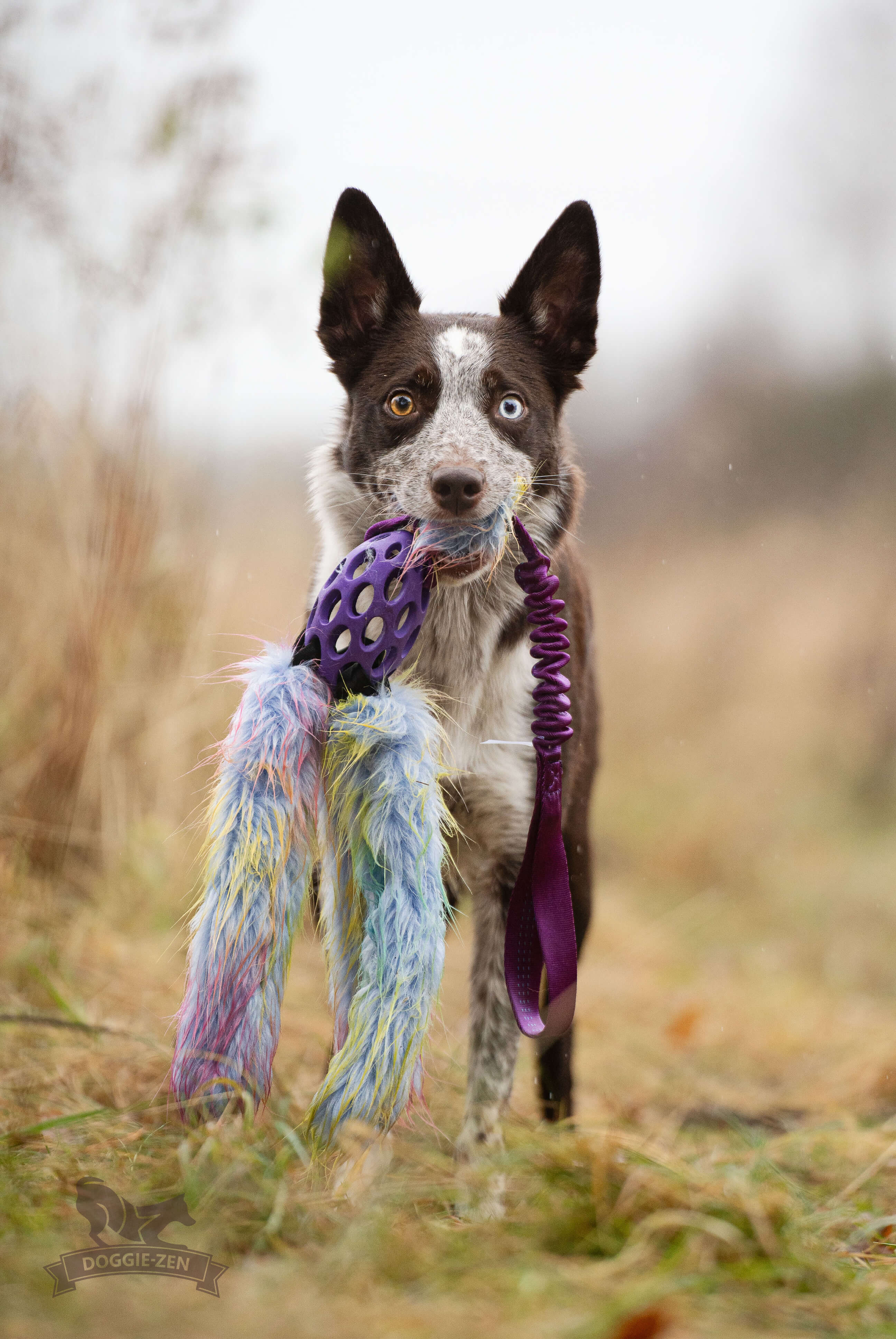 Bungee Hol-ee Octopus Tug L Fake Fur Purple Rainbow Edition - 8