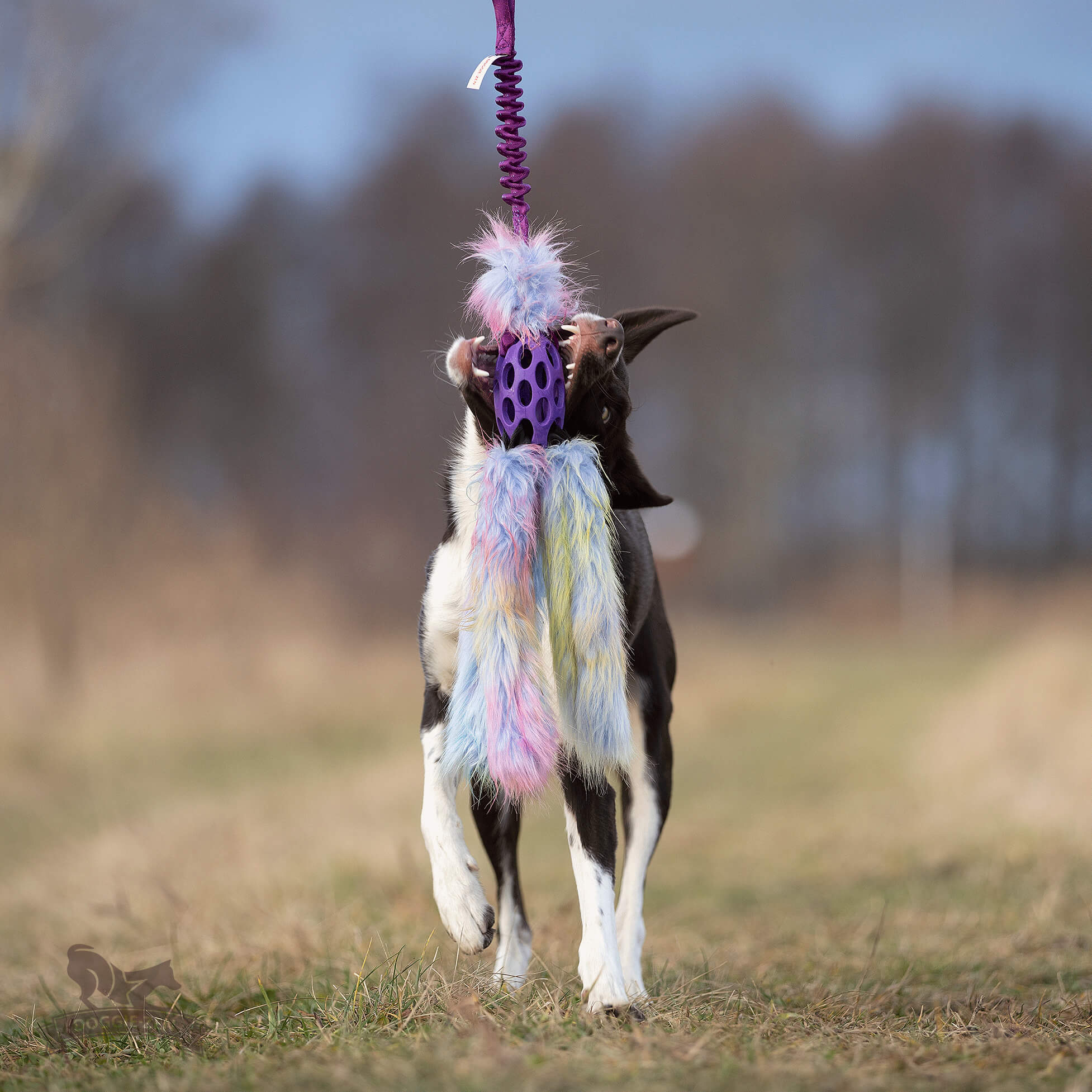 Bungee Hol-ee Octopus Tug L Fake Fur Purple Rainbow Edition - 9