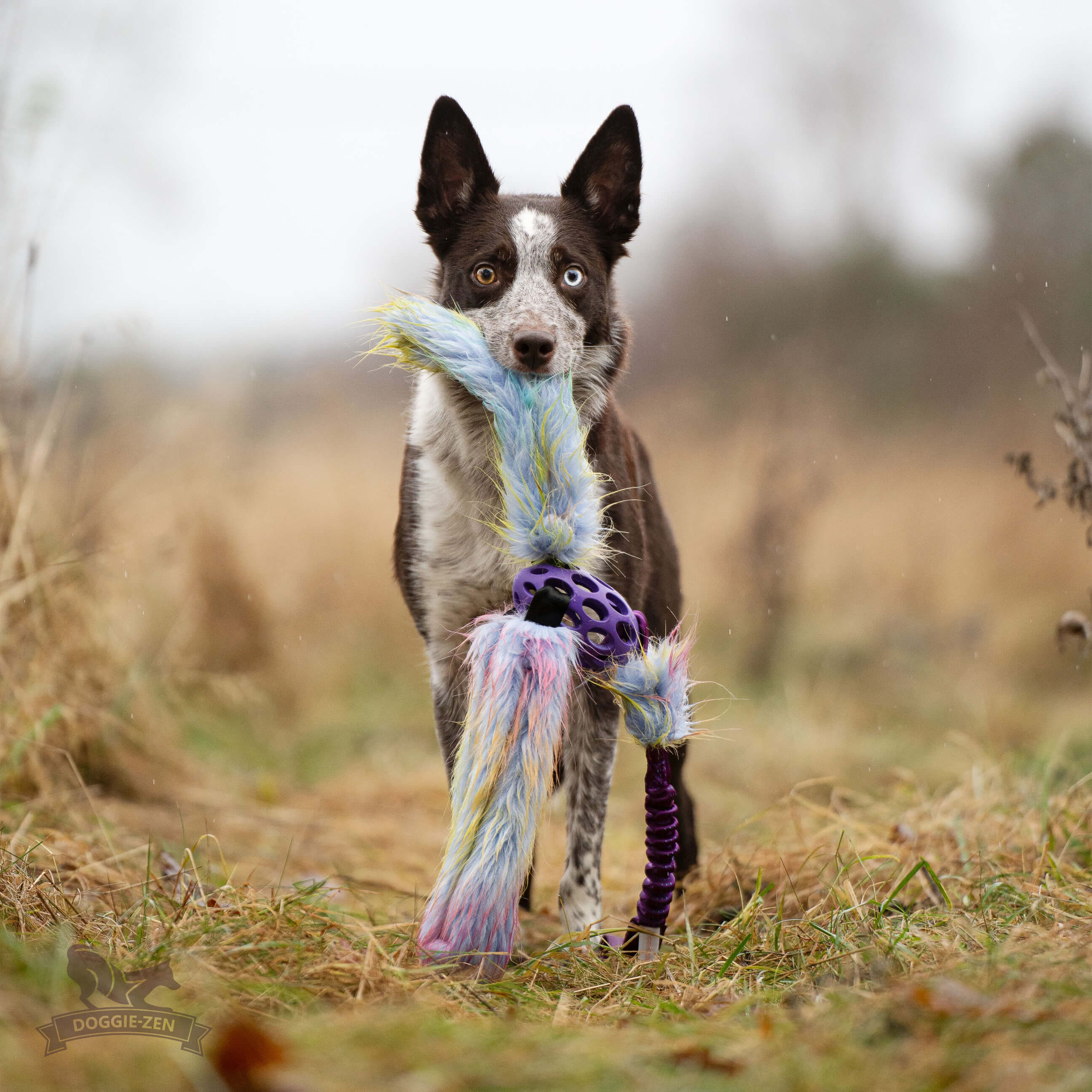 Bungee Hol-ee Octopus Tug L Fake Fur Purple Rainbow Edition - 4
