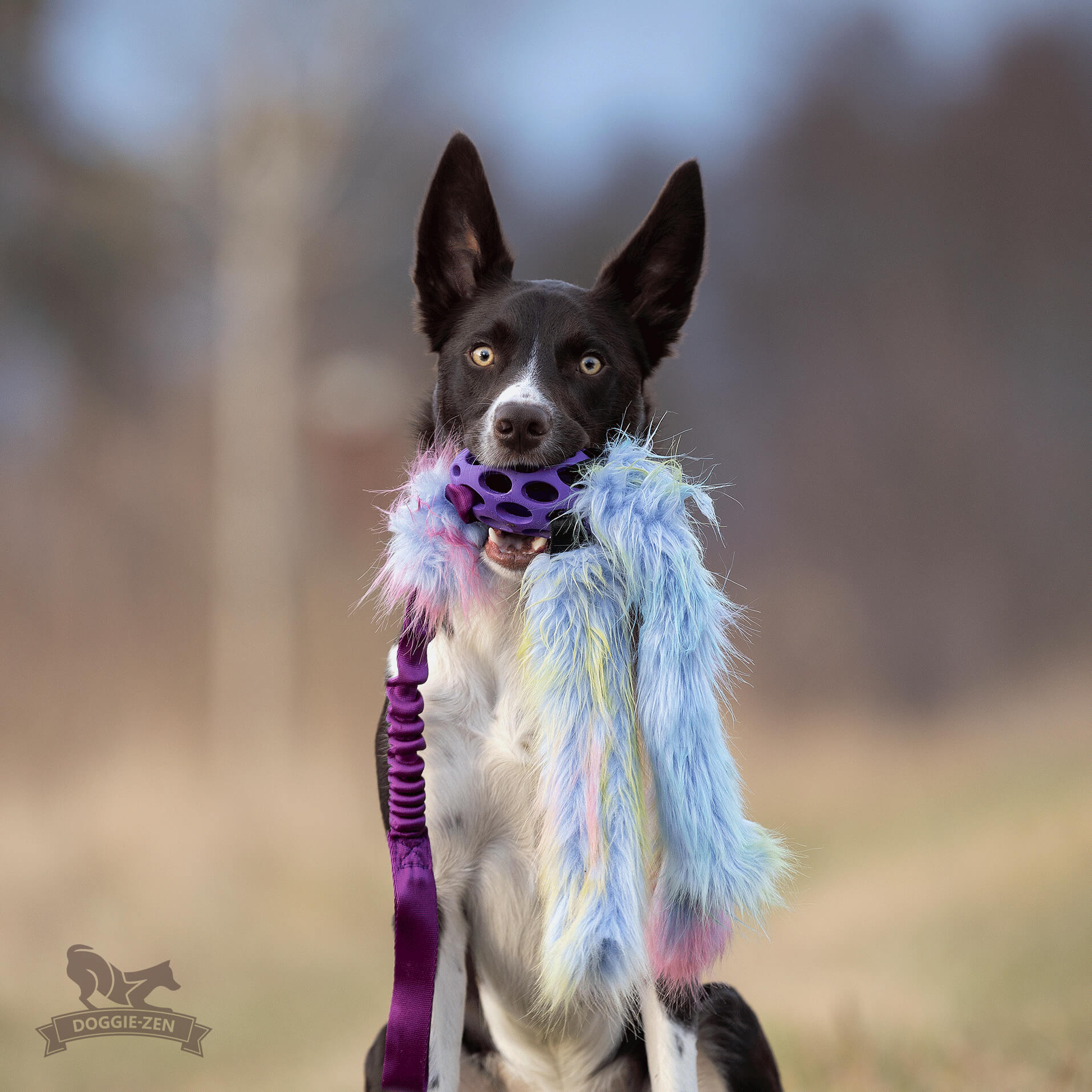 Bungee Hol-ee Octopus Tug L Fake Fur Purple Rainbow Edition - 5