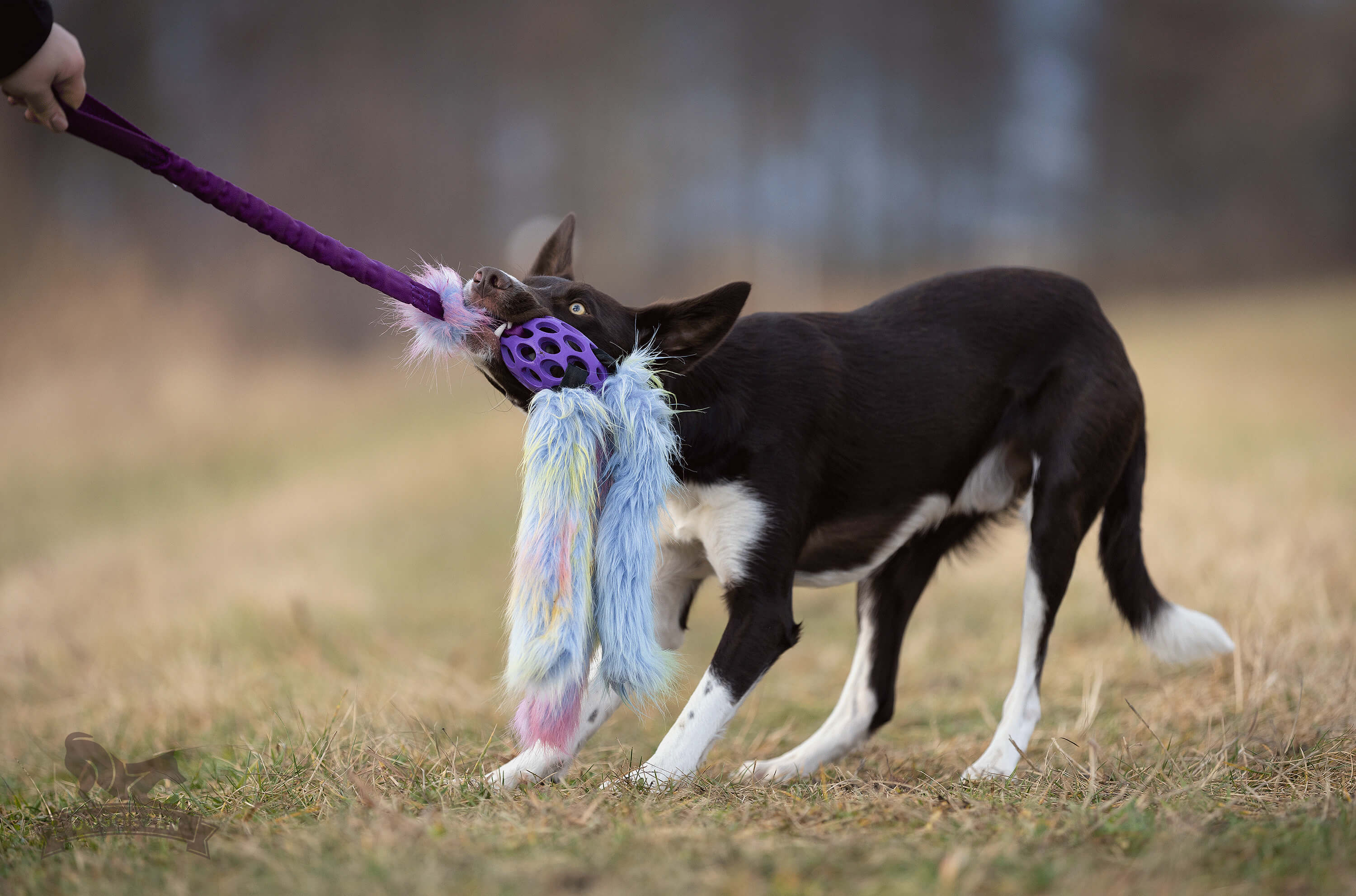 Bungee Hol-ee Octopus Tug L Fake Fur Purple Rainbow Edition - 3