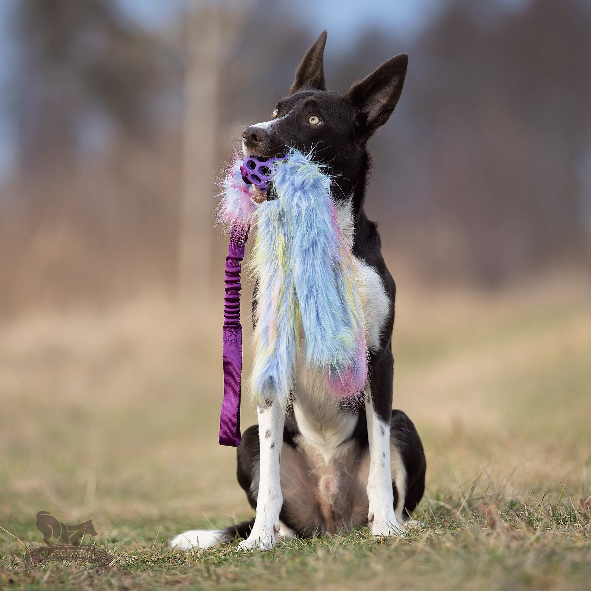 Bungee Hol-ee Octopus Tug L Fake Fur Purple Rainbow Edition - 7