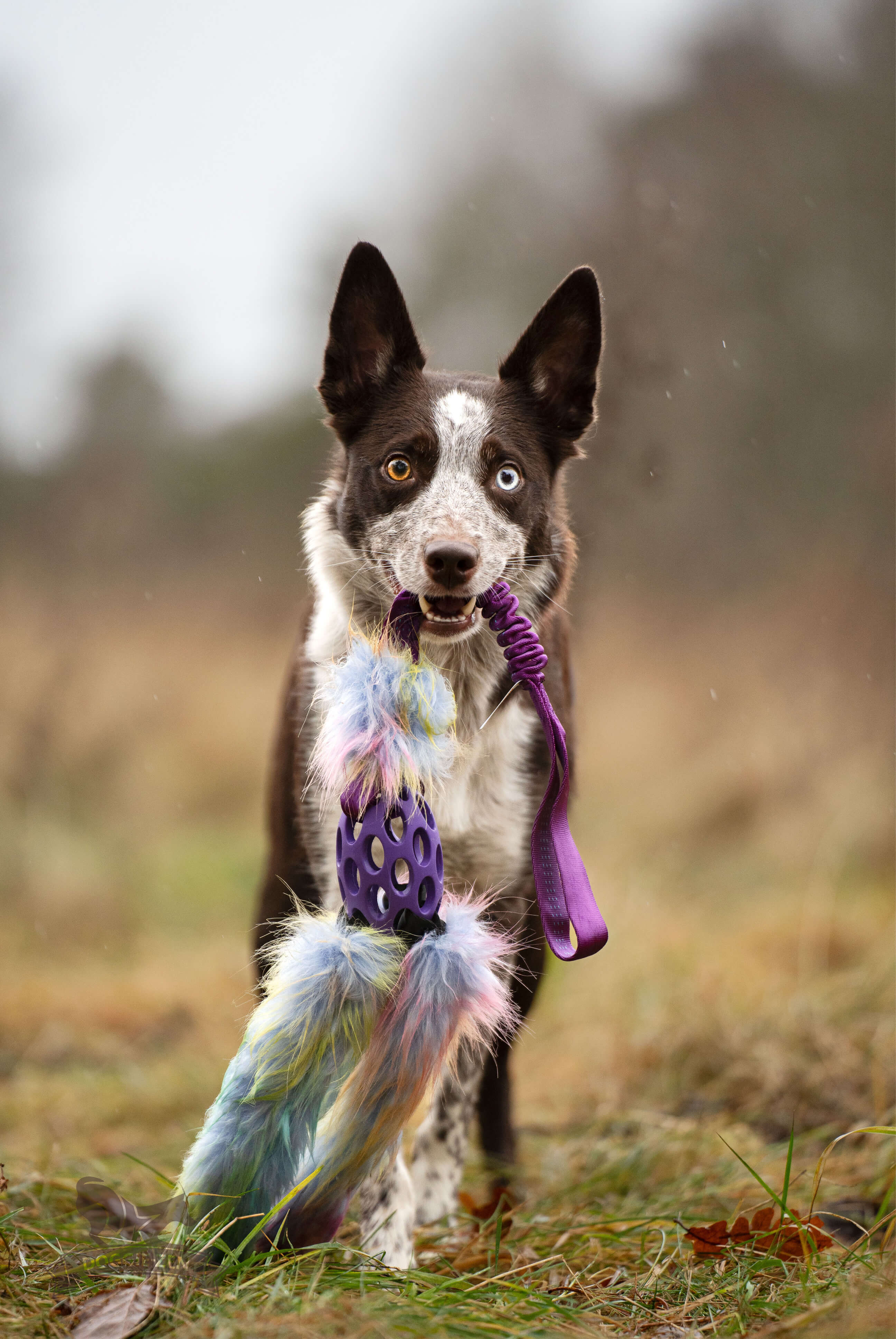 Bungee Hol-ee Octopus Tug L Fake Fur Purple Rainbow Edition - 6