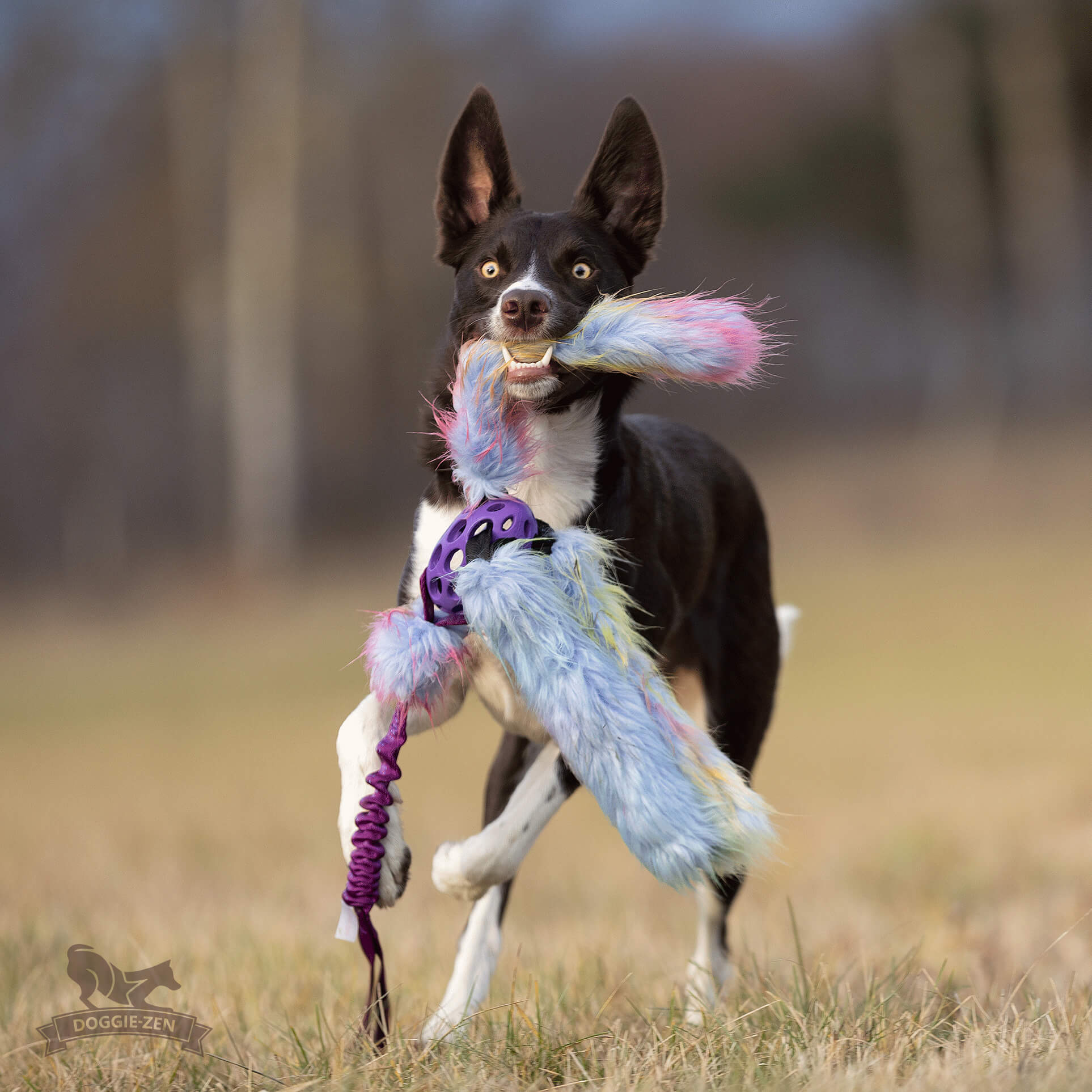Bungee Hol-ee Octopus Tug L Fake Fur Purple Rainbow Edition