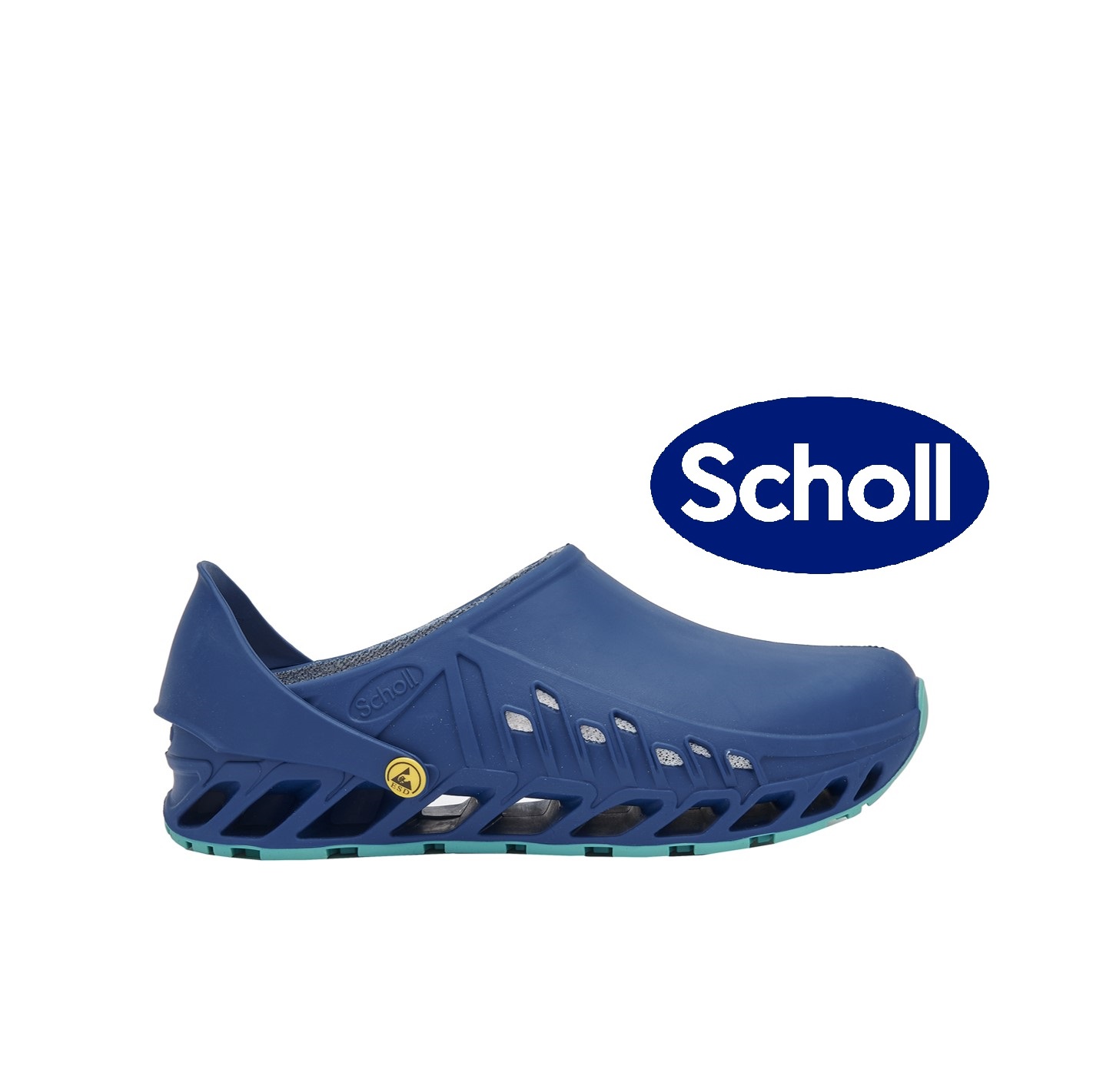 Toffel- Clog Evoflex Scholl  - 2