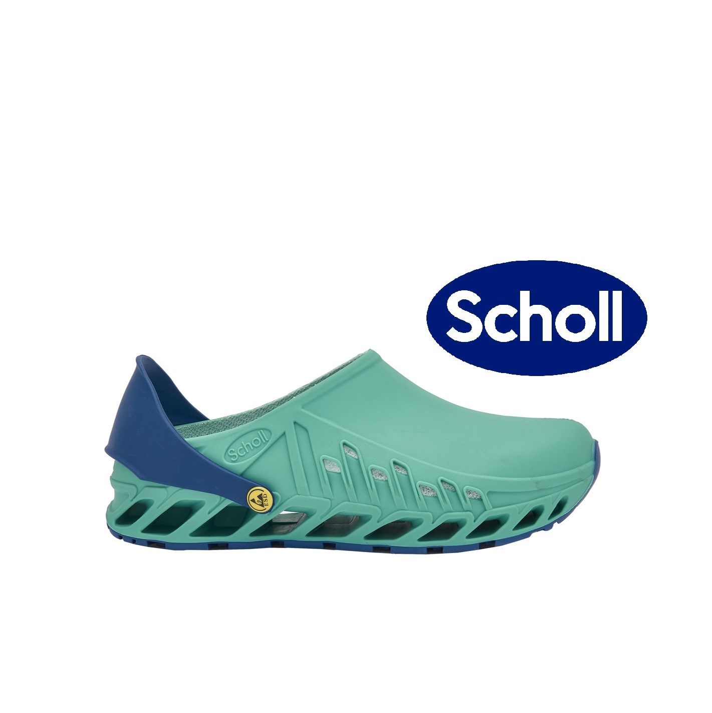 Toffel- Clog Evoflex Scholl 