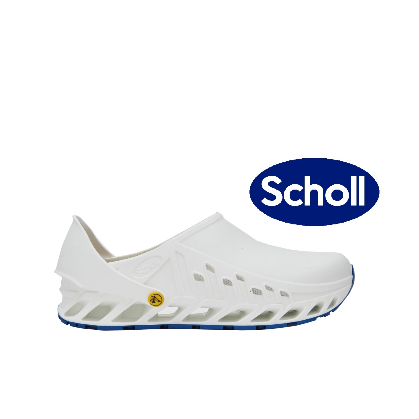 Toffel- Clog Evoflex Scholl  - 3