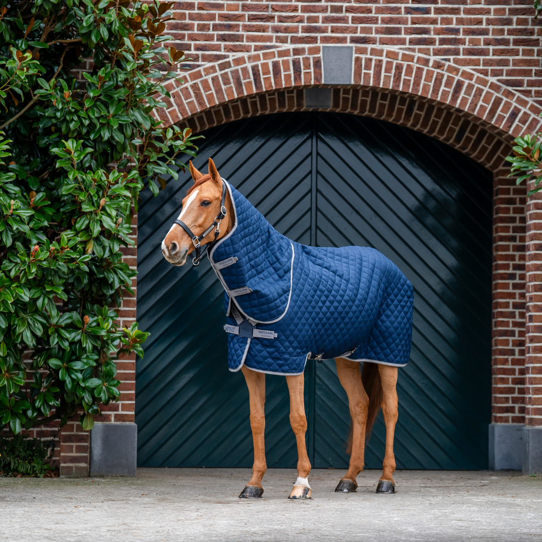 AMIGO QUILTED STABLE PLUS 200GR - 7