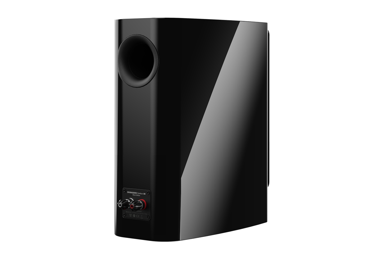 Dynaudio Contour 20 Black Edition - 6