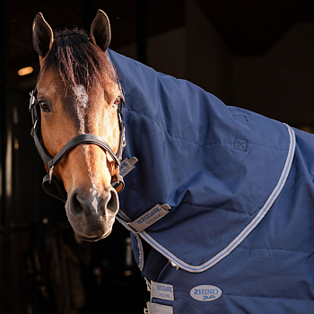 RHINO STABLE HOOD 200GR