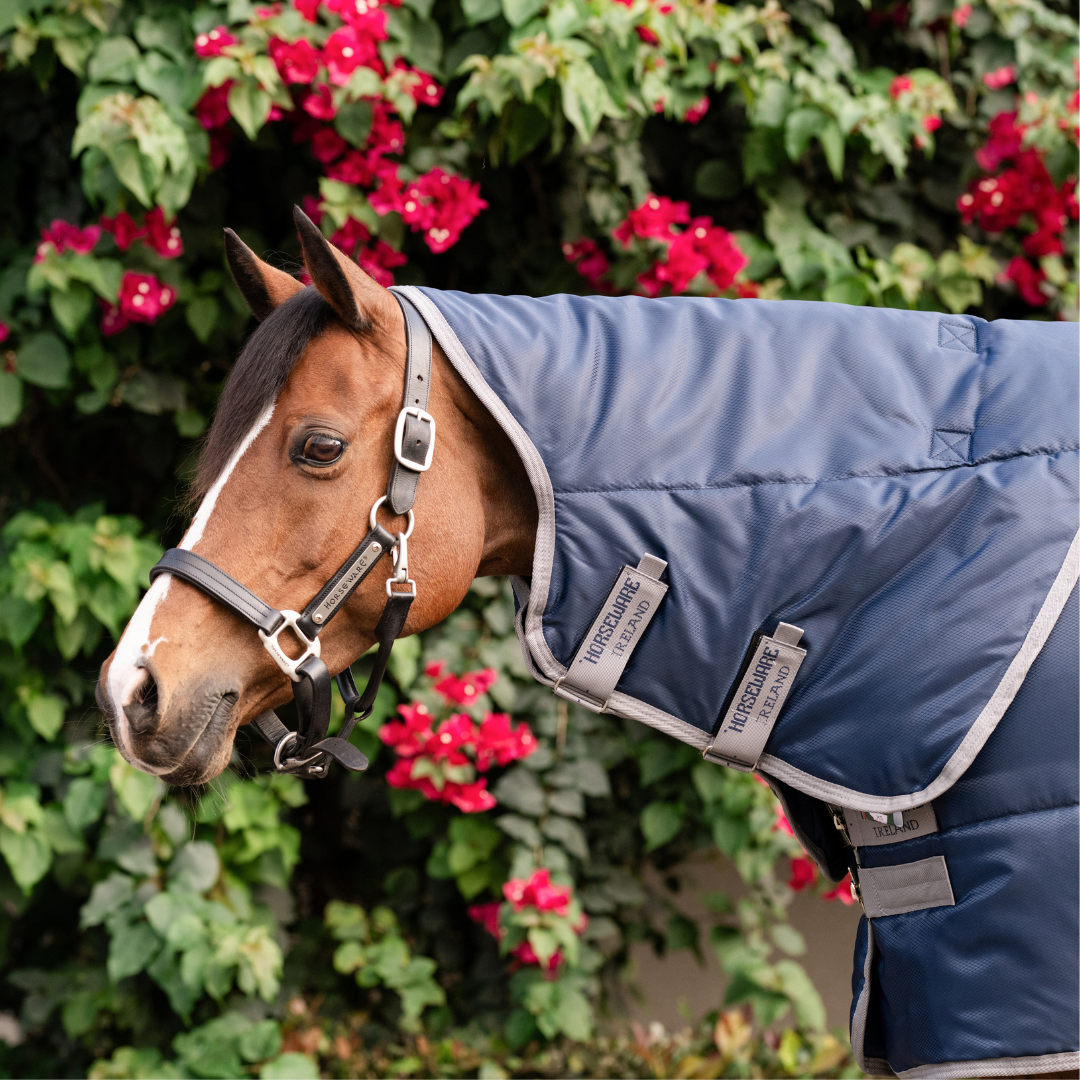 AMIGO RIPSTOP STABLE PONY PLUS INSULATOR 200GR - 3