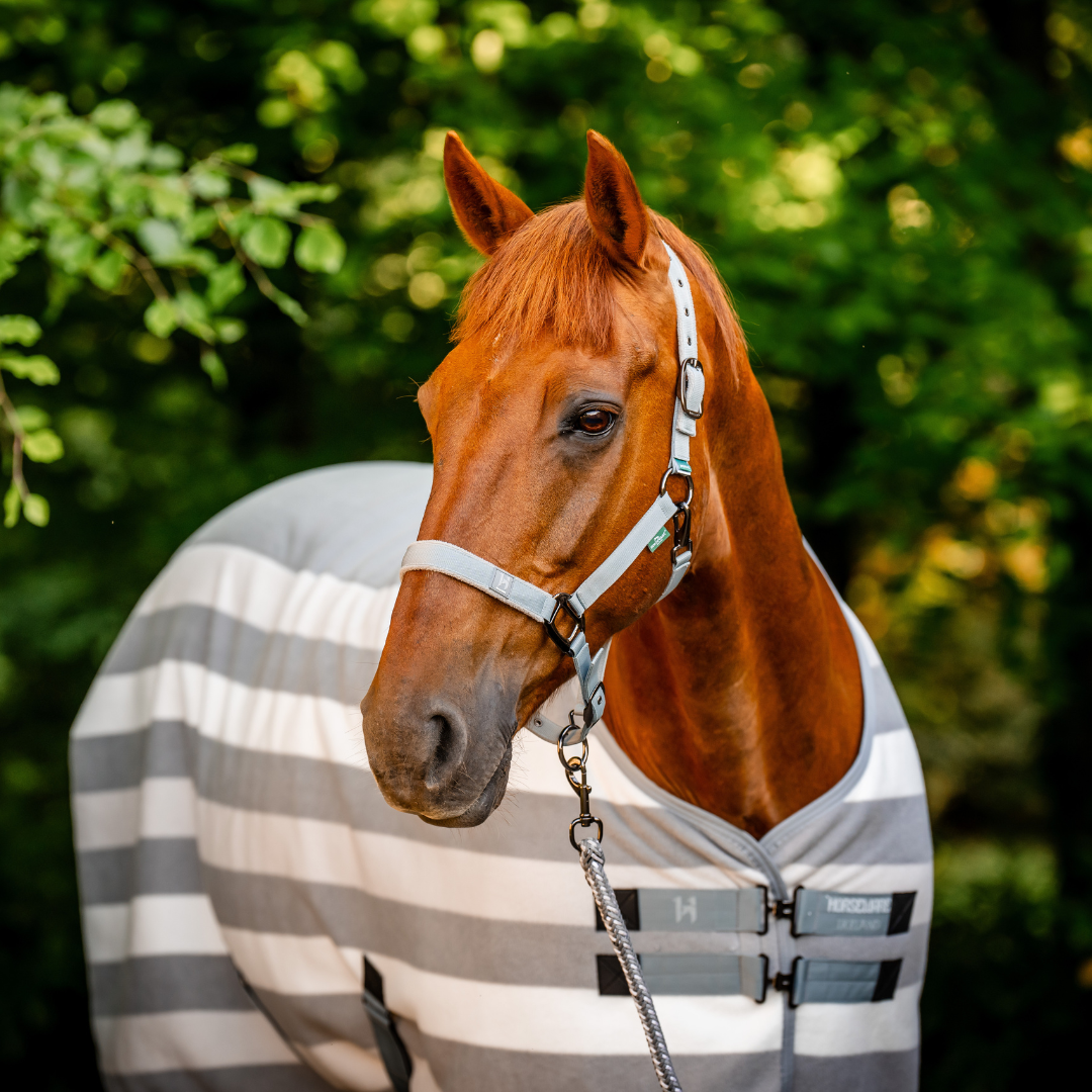HORSEWARE NEWMARKET FLEECE COOLER  - 7