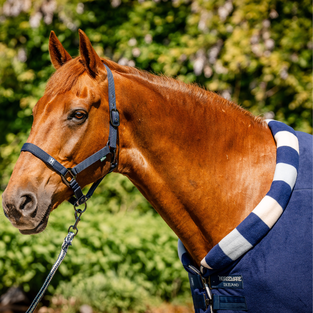 HORSEWARE NEWMARKET COSY FLEECE COOLER  - 3