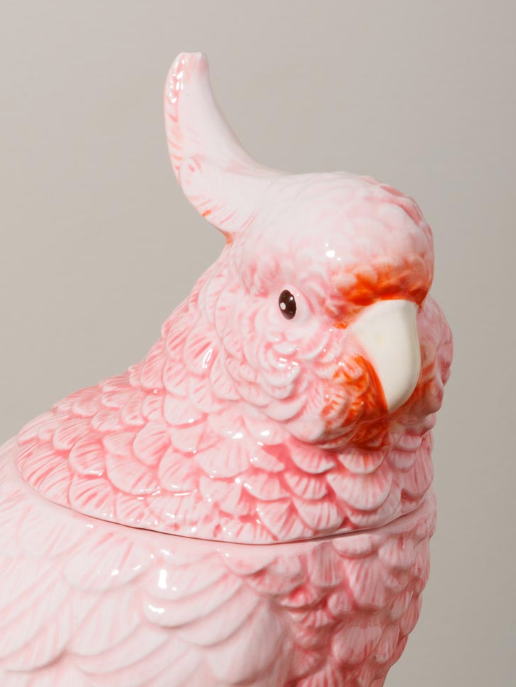 Pink Papegoja Burk     - 2