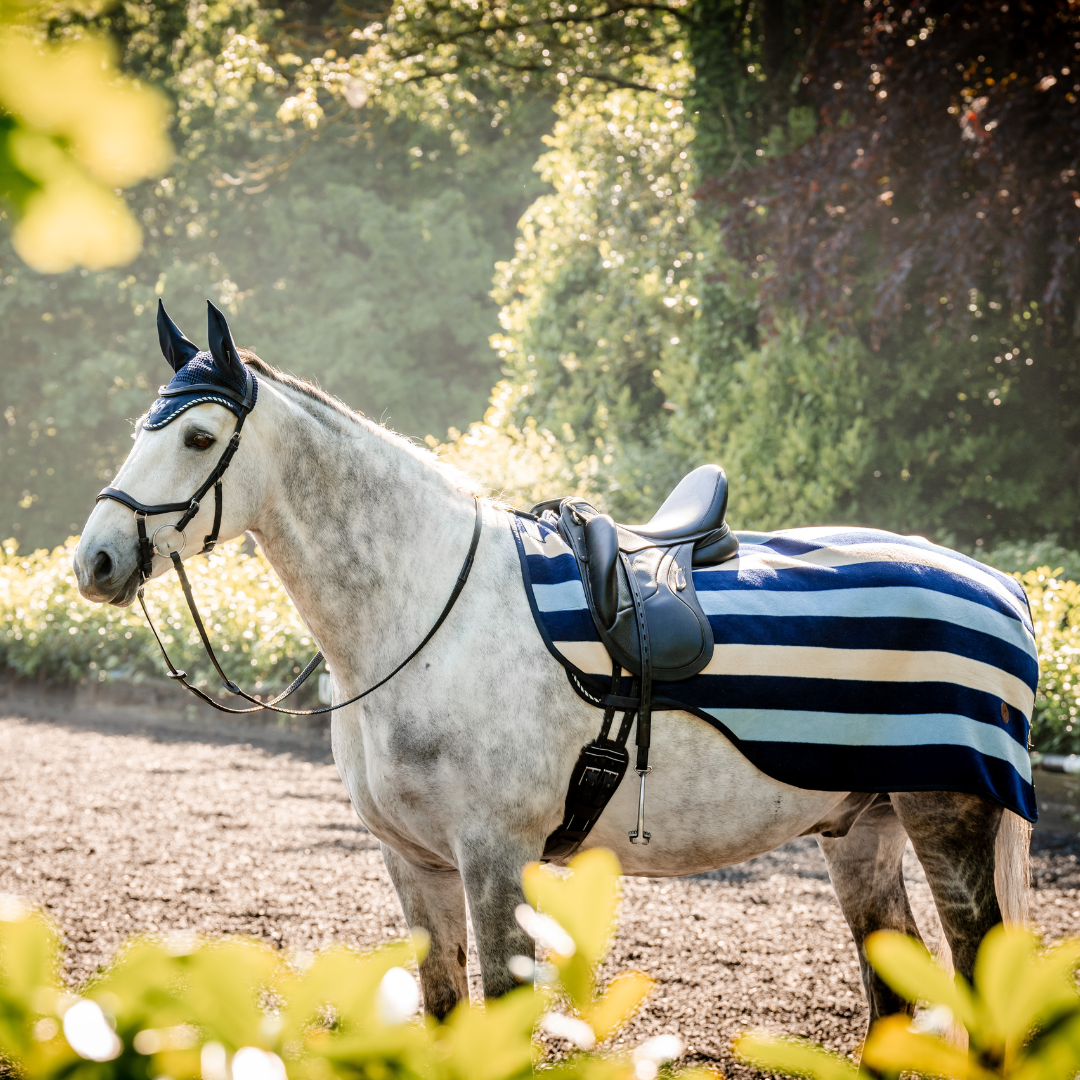 HORSEWARE NEWMARKET EXERCISE SHEET - 2