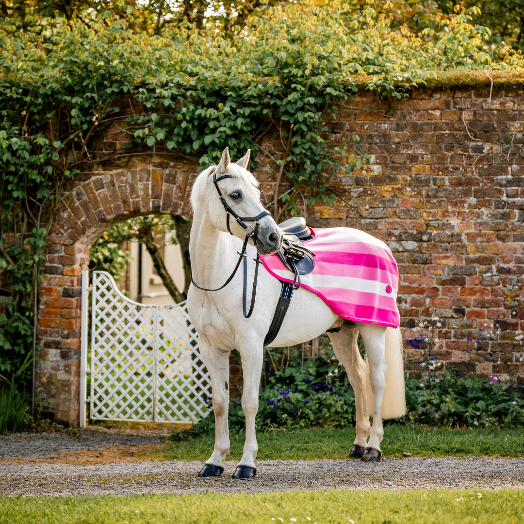 HORSEWARE NEWMARKET EXERCISE SHEET - 4