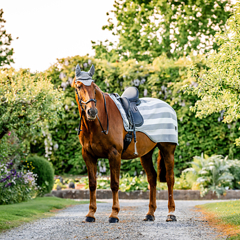 HORSEWARE NEWMARKET EXERCISE SHEET