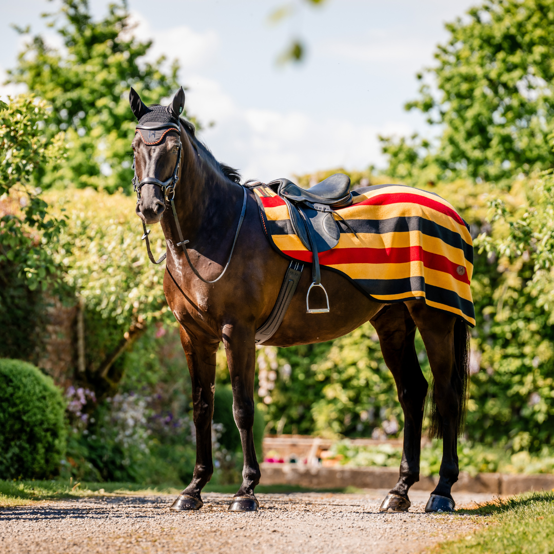 HORSEWARE NEWMARKET EXERCISE SHEET - 3