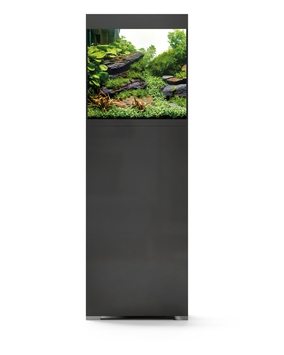 Oase StyleLine 85 Paket Svart LxBxH: 50x36x140,5 cm, 75 liter - 4