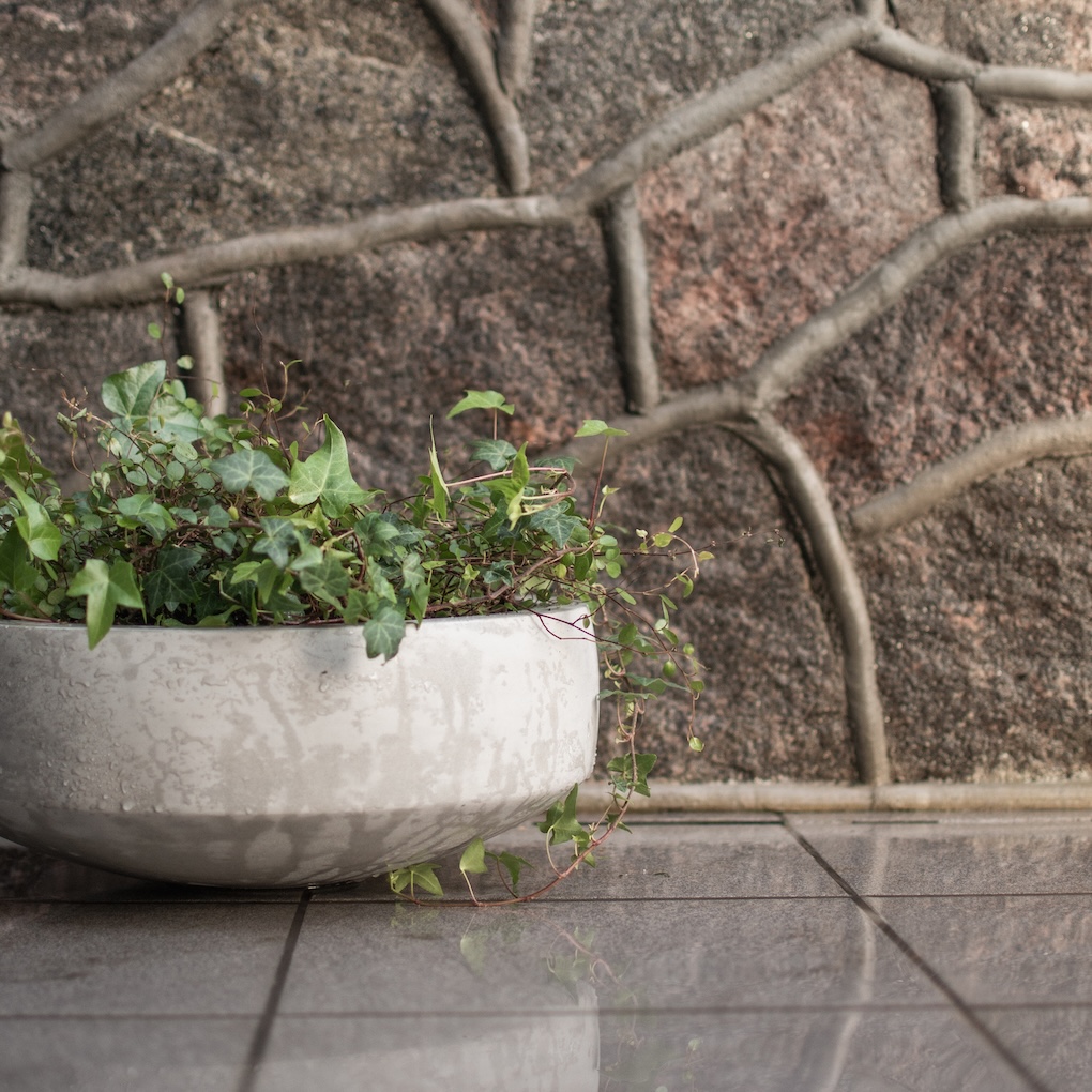 Garden Bowl Concrete - Pot - Concrete - 40x15.5 cm - 5