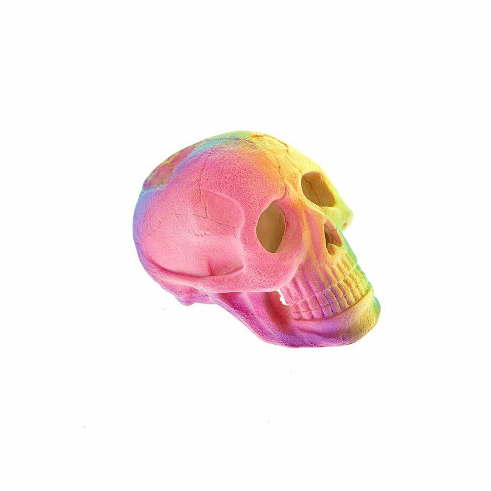 Classic Döskalle Rainbow 6x9,2x6,5 cm