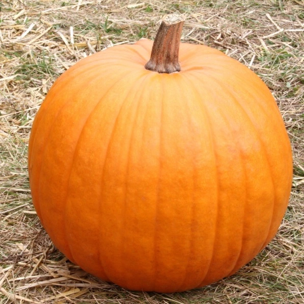 Halloweenpumpa