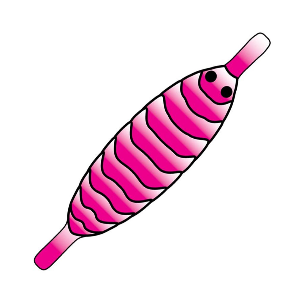 Pro Gammarus Shell Back - 3